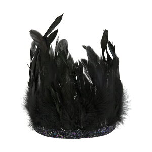 ynECznEB nC  wAoh Black Feather Headdress wAANZT[ wbhoh tHgu[X IWiʐ^  ACe a a o[Xf[p[