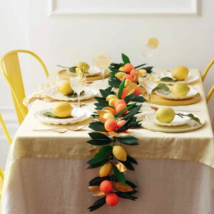 K[h kރt[c o[Xf[K[h  킢  a t j̎q ̎q ap[eB o[Xf[fR[V merimeri  Citrus Fruit Garland