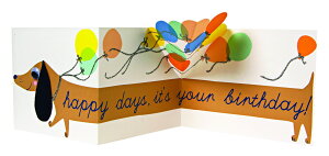 Meri Meri  \[Z[WhbO ܂ݎ o[Xf[J[h@a Birthday Card