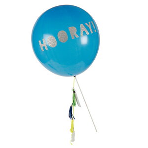 p[eBo[ hto[ SD a o[Xf[p[eBa  EGfBO  킢 t merimeri 