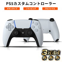 楽天市場】カスタムコントローラーの通販