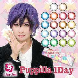 Puppilla 1Day アシストシュシュ パピーラワンデー カラコン 6枚入 カラーコンタクト カラコンワンデー 1日使い捨て 度あり 度なし