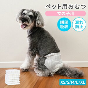 yő92%OFFIz ̎qp ybgpނ ybgpIc XS`XL }i[ނ pނ ̎q uԋz t߂h~ ɂ K ł  p R炵 }[LO hCu 