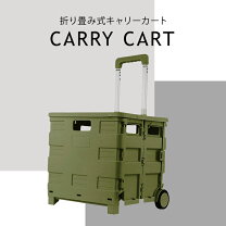 楽天市場】キャリーカート 折りたたみ（カラーグリーン）の通販
