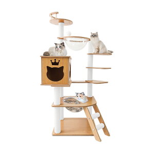 �y���������z �L���b�g�^���[ �ؐ� �����u�� �F���D �L �Z���L �V�j�A�L �q�L �������� ����133cm �܂Ƃ� �܌��� ���� �p�ۉ��H �K�i �V�R�� �N���A�{�E�� �X���� �L�^���[ �V�я� �^���s����