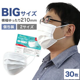 ＼大人用 大きめマスク／ マスク 大きめ 大人用 30枚 195mm 210mm 白 使い捨てマスク やわらかマスク 不織布マスク 花粉 風邪 ほこり 箱 PM2.5 立体 三層 使い捨て 不織布 大きいサイズ mask 立体マスク 国内発送 安心 ビックサイズ ラージサイズ