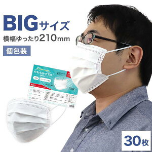 _傫TCY^ }XN 傫 lp 30 210mm 95mm  ĝă}XN 炩}XN sDz}XN ԕ  ق  PM2.5  Ow ĝ sDz 傫 mask ̃}XN S rb