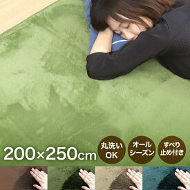 【最大2000円OFF限定クーポン】 ラグ 洗える ラグマット 冬用 200×250cm 約3畳 滑り止め付 マット 洗えるラグ ラグカーペット 夏 冬 オールシーズン カーペット 絨毯 リビング 長方形 rug 北欧 軽量 ホットカーペット対応 床暖房対応