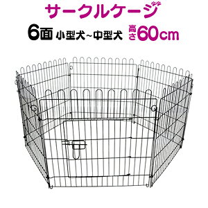 yz ybgT[N 6ʃT[N 60cm ybgP[W ybgtFX P[W Q[W T[N g[jOT[N pP[W ^p ^p p Op p  