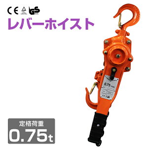 y5%OFFN[|z o[zCXg 750kg i0.75tonj `F[zCXg 蓮 ג@ mג גߋ@ o[ zCXg WbL `F[ Kb` `FubN `F[ubN ƒp 