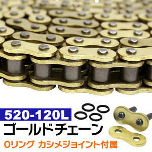 y5%OFFN[|z oCN `F[ hCu`F[ OO`F[ 520-120L S[h`F[ R1-Z lbT SRV250S FZ400 VTR250 GSX250S oCNp`F[ oCN`F[ V[`F[ C 