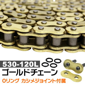 yő10%OFFN[|z oCN `F[ hCu`F[ OO`F[ 530-120L S[h`F[ FZX750 YZF-R7 FZ1000S FAZER FZ1000StFU[  GSXR750 GT750 oCNp`F[ oCN`F[ V[