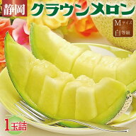 静岡県産『クラウンメロン Mサイズ 白等級 1玉 』化粧箱入 送料無料 着日時指定可 のし・メッセージカー…
