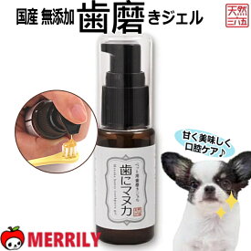 歯にマヌカ 30g 天然365 犬 ペット用 正規品 歯磨きジェル マヌカハニー 無添加 国産 天然三六五 犬の 歯みがき 歯磨き デンタル デンタルケア 口腔 口内 はみがき はちみつ 犬歯みがき いぬ歯磨き 犬歯磨き デンタルジェル 犬の歯磨きジェル