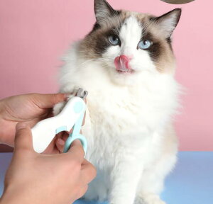 y 30%OFFN[| Ώ z Cgtܐ؂ L  g~O Lpܐ؂ Cgtܐ؂ ȒP  g₷ ybgpܐ؂ LEDCgtܐ؂ Sܐ؂ ^pܐ