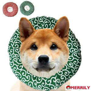 \tgGUxXJ[  \tg p  L _炩 ₷  ӂӂ ybg Ђh~ r߂̖h~