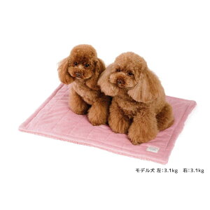 o[Vu LeBO }bg  ѕz t[X }CNt@Co[ N ybg  Ђ| g   ۉ ΍ h ӂӂ 􂦂 ^ q ` 