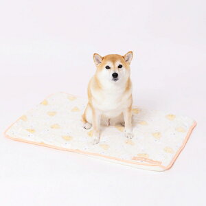  ѕz t[X ~btB[XibtB[ {A uPbg S / L TCY }CNt@Co[ N ybg  }bg Ђ| g   ۉ ΍ h ӂ