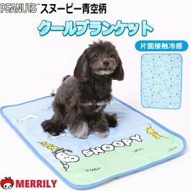 犬クール ブランケット Peanuts ピーナッツ SNOOPY スヌーピー 青空柄 犬用クール 犬のブランケット ひんやり 冷え 犬用 猫用 寝具 マット 春 夏 接触冷感 犬の布団 カフェマット バギーマット 小型犬 犬用品 ペットグッズ