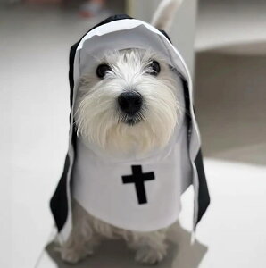  C nEB ybg L  RXvߑ L̕ C C qt _ cosplay 鋳t RX`[  ybgEFA Be RX`[ ybgp 킢 p 