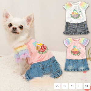 ̕ NCW[u[ LL gsJs ItzCg CB251110   ybg  ̗m ps[ q ` ɏ eB[Jbv v[h ^ pi ybg ybgObY 