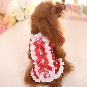 hbgs[X 2XS 3XS q ps[  gCv[h ` ^ ^  [X t ĕ ~j~j e pi ̗m