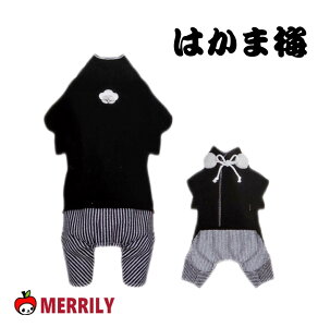 ͂ ~ p͂  ߑ a  w ܎O Be  j j̎q ^ ^ 킢 ₷  a LOtHg N