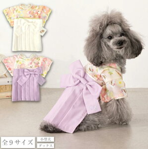 TCh{  CRAZYBOO NCW[u[ {  hbOEFA  ܎O w Ǝ ʐ^Be   CB251141