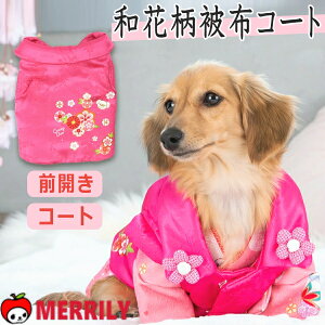   aԕ z R[g NCW[u[ crazy boo AE^[ CB231052 ̕   ꒅ  ܎O j LO Be ` RXv  ` ybg ̒ U ^ ̎q