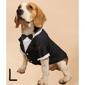 ^LV[h p     j 畞 ^ ʐ^Be j̎q IX ` v[h Č