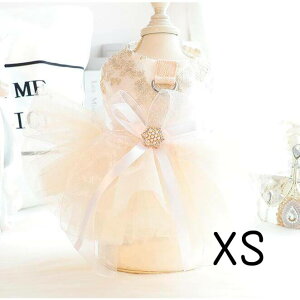 y 30%OFFN[| Ώ z    t  s[X zCg ybg m [htbNt XJ[g 񂱂̕ ` v[h Č |jA   ^