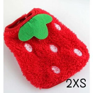  t[X tt q  gCv[h ` ^ q ^  H~ ps[ ̕