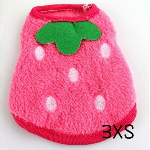  t[X tt q  gCv[h ` ^ q ^  H~ ps[ ̕