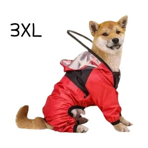  CR[g hbNtFCX THE DOG FACE JV H  U J ybg ybgEFA J̓ Oo ybgpi p J ^ ^ ^ CObY o UObY p