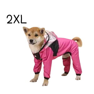  CR[g hbNtFCX THE DOG FACE JV H  U J ybg ybgEFA J̓ Oo ybgpi p J ^ ^ ^ CObY o UObY p