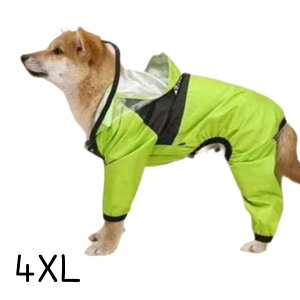  CR[g hbNtFCX THE DOG FACE JV H  U J ybg ybgEFA J̓ Oo ybgpi p J ^ ^ ^ CObY o UObY p