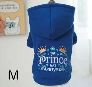 p[J[ ̗m   H~ hイ   g[i[  ^ ` ^ v[h Č