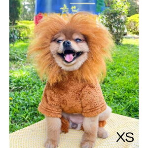 CI R[g  p H~  RXv AE^[ Wo[ g ^ ` v[h Č