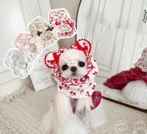 C[}t ی ܎ Xk[h  S ybg  L h h Up ^ ^ ӂӂ 炩 f  ybgpi