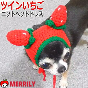  Xq cC  jbg Xq ̖Xq pXq wbhhX C`S  ^ ` ^ v[h L 蕨 Ԃ ϐg RX`[ RXv   SNS Lb