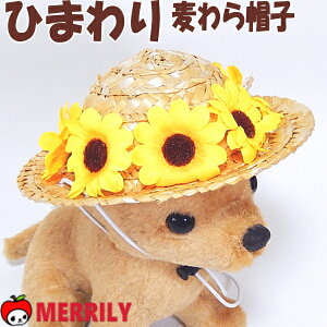  Xq Ђ܂ Xq nbg ToCU[ ̖Xq pXq ^ ` ɏ 悯 ނ eB[Jbv v[h Xg[nbg  O L 蕨 Ԃ RX