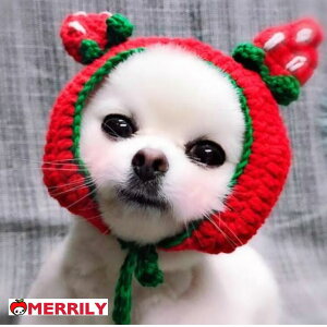  Xq jbgXq ̖Xq pXq C`S  ^ ` ^ v[h Č L 蕨 Ԃ ϐg RX`[ RXv   SNS Lbv ybg pi 