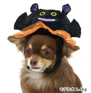 obg}Lbv Xq RXv ^ nEC ϐgRX`[ RE z[p[eB[   nbg Ԃ 蕨 RXv Xq ߑ RX`[ p y