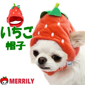 ̖Xq  Xq  Xq pXq C`S ^ ` ^ v[h Č L 蕨 Ԃ ϐg RX`[ RXv yR EȂ   SNS Lbv ybg pi