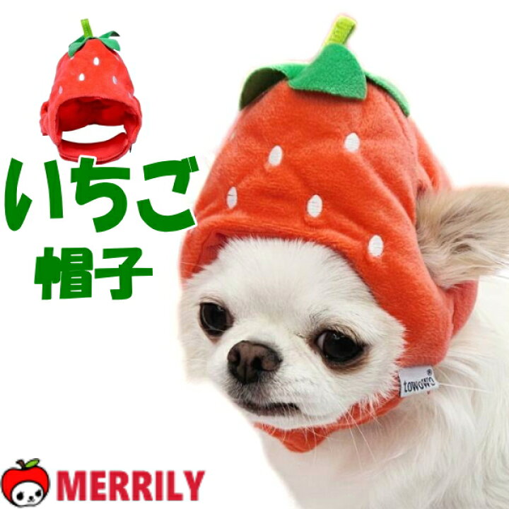 楽天市場】犬の帽子 苺 帽子 犬 帽子 犬用帽子 イチゴ 小型犬 チワワ 