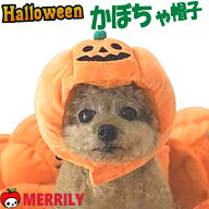 犬 ハロウィン かぼちゃ 帽子 ジャックオランタン 被り物 コスプレ コスチューム パンプキン キャップ 変…