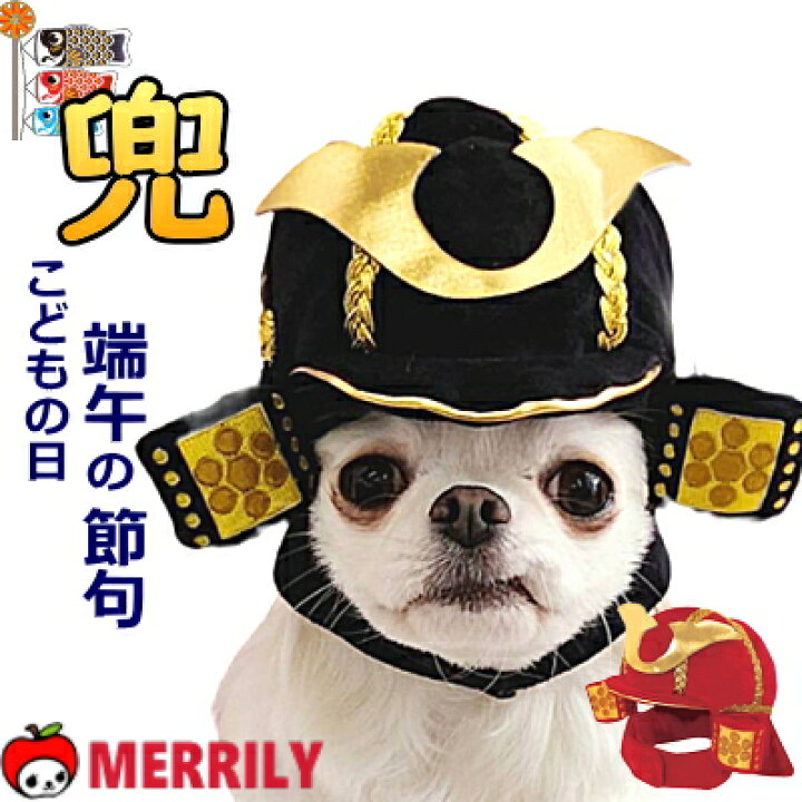 楽天市場】犬の帽子 こどもの日 兜 キャップ かぶと 犬 帽子 かつら 