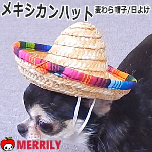  Xq LVJnbg Xq LVR ̖Xq pXq ^ ` \u 悯 ނ ^ v[h Č L 蕨 Ԃ ϐg RX`[ RXv 