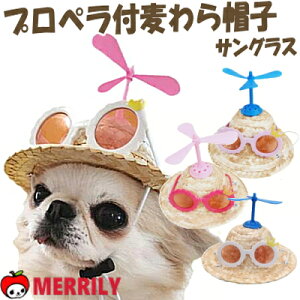  Xq Xq vy TOX t nbg ToCU[ ̖Xq pXq ^ ` ɏ 悯 ނ ^PRv^ H vy L 蕨 Ԃ RXv  