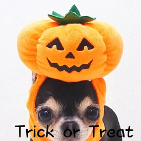 犬 帽子 ハロウィン パンプキン キャップ スマイリー S M L サイズ かぼちゃ ジャックオランタン 帽子 仮装 犬の帽子 犬用帽子 小型犬 チワワ 中型犬 プードル 猫 被り物 かぶりもの 変身 コスチューム コスプレ 可愛い おしゃれ SNS ペット 犬用品 ペットグッズ グッズ